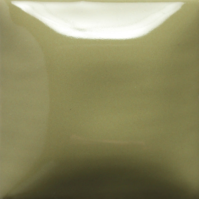 MAYCO | SC-079 It's Sage Stroke & Coat   | Pint
